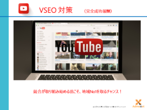 VSEOサービス概要資料